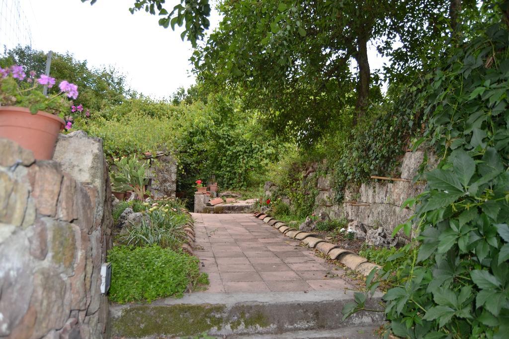 Su Cantaru Guesthouse Villanova Monteleone Esterno foto