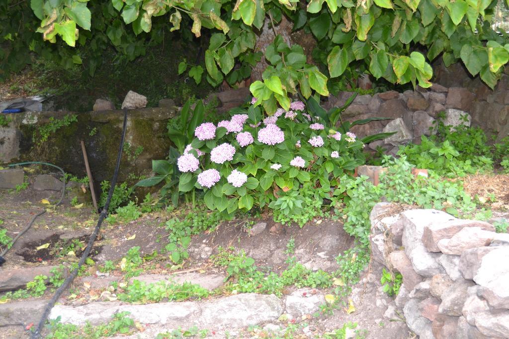 Su Cantaru Guesthouse Villanova Monteleone Esterno foto